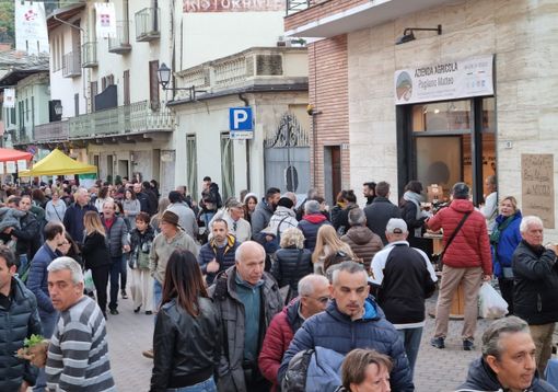 (Foto di repertorio)