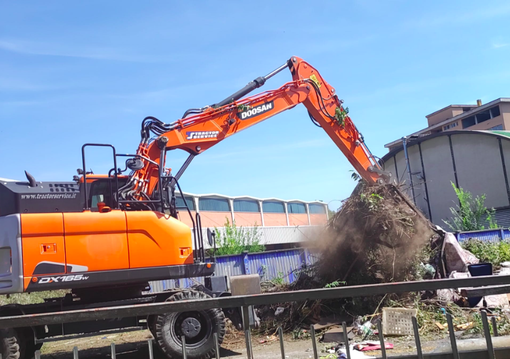 Foto di Verangela Marino