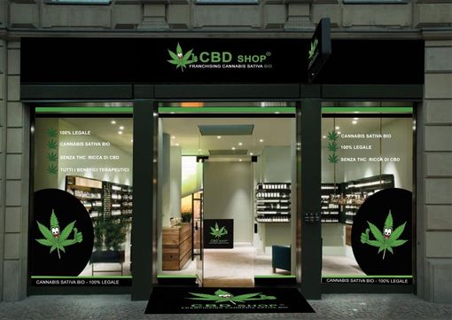 Cbd illegale, il monito della Cgil: "Così si distrugge un settore economico" Cbd illegale, il monito della Cgil: "Così si distrugge un settore economico"