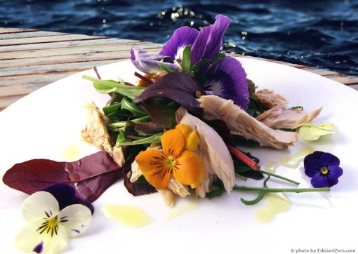 Sanremo: agricoltori e chef a scuola per studiare i fiori eduli Sanremo: agricoltori e chef a scuola per studiare i fiori eduli