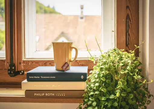 “Bellezze alla finestra”: raccontateci quello che vedete ogni giorno inviando una foto per il nostro contest “Bellezze alla finestra”: raccontateci quello che vedete ogni giorno inviando una foto per il nostro contest