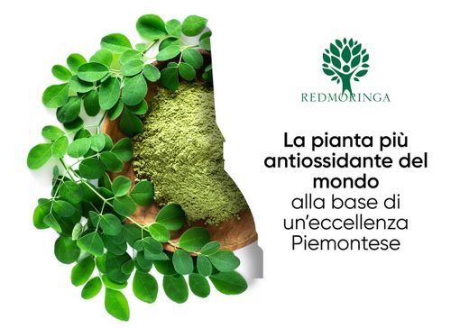 L’azienda torinese che riporta la Moringa al suo antico splendore L’azienda torinese che riporta la Moringa al suo antico splendore