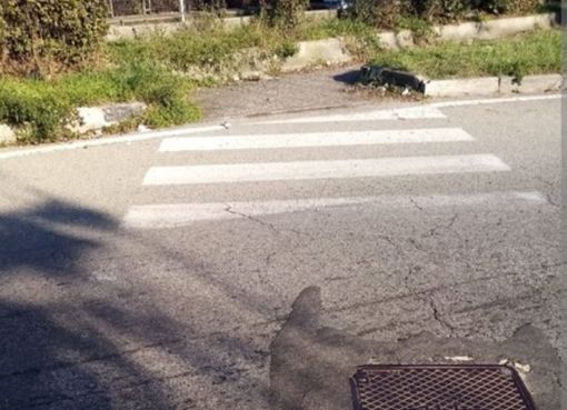 Auto a tutta velocità su corso Sella, il Comune: &quot;Rifacciamo le strisce pedonali e la segnaletica&quot;