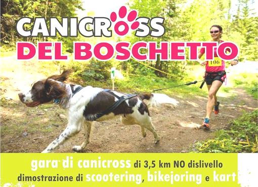 Immagine di repertorio Immagine di repertorio