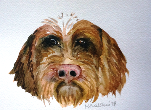 &quot;Manco li cani&quot;