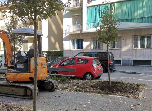 alberi alberi
