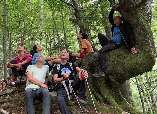 &quot;A Riveder le stelle&quot;: il cambiamento climatico raccontato dal docu-film di Emanuele Caruso