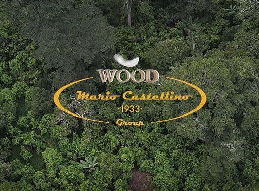 Mario Castellino 1933 sposa l’iniziativa Treedom, un pianeta più verde è un pianeta migliore