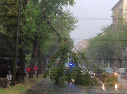 Maltempo di ferragosto, proseguono gli interventi per la messa in sicurezza del verde cittadino