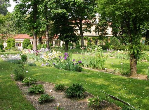 Gli eventi in programma a febbraio all'Orto Botanico di Torino