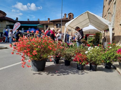 Un momento di Vigoflor Un momento di Vigoflor