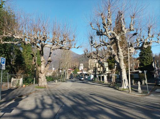 Torre Pellice raddoppia le risorse per la potatura delle piante