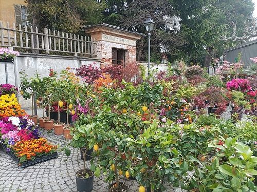 Fiori &amp; Sapori rinuncia alla Mangia e Cammina ma continua a far festa