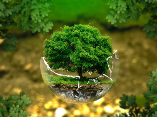 Ambiente, Università di Torino e Arpa rinnovano accordo di cooperazione fino al 2026