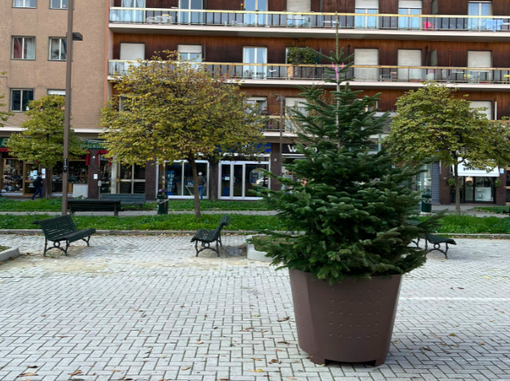 albero di natale piazza carducci albero di natale piazza carducci