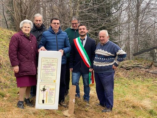 I Saggi di Ingria e il rito della quercia