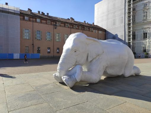 Giallo in piazzetta Reale, sparito il bimbo “che leggeva all’elefante”: la spiegazione Giallo in piazzetta Reale, sparito il bimbo “che leggeva all’elefante”: la spiegazione