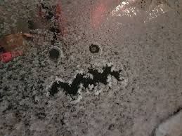 Arriva l'inverno e Amiat prepara il piano neve: dallo sgombero delle strade agli interventi straordinari Arriva l'inverno e Amiat prepara il piano neve: dallo sgombero delle strade agli interventi straordinari