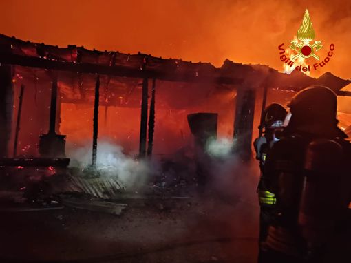 Rogo nella scuderia di un agriturismo: morto un cavallo. Le fiamme illuminano a giorno il cielo di Rosta