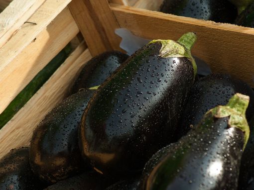 Melanzane: proprietà e ricette semplici da preparare