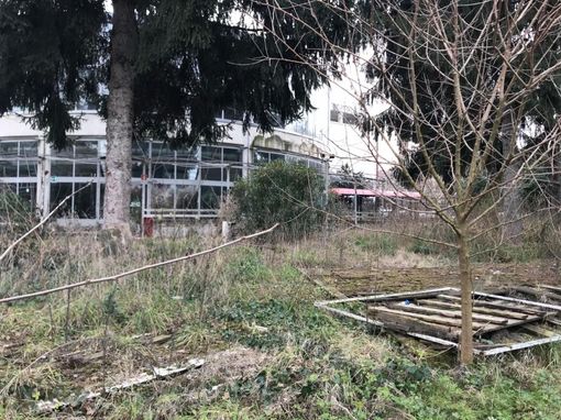 Assegnata la Rotonda del Valentino:"Sarà un locale di spettacolo, con una forte vocazione alla ristorazione" Assegnata la Rotonda del Valentino:"Sarà un locale di spettacolo, con una forte vocazione alla ristorazione"