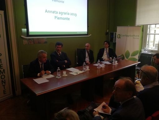 Annata Agraria 2019: il clima ha colpito la quantità, ma non la qualità, nonostante l'inverno più caldo da 62 anni