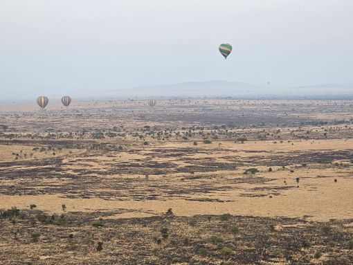 Safari in Tanzania: un viaggio oltre l'immaginazione Safari in Tanzania: un viaggio oltre l'immaginazione