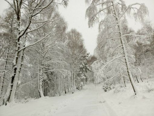 Meteo: attesi vento sulle pianure torinesi e neve sulle Alpi Meteo: attesi vento sulle pianure torinesi e neve sulle Alpi