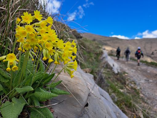 Al via il “Maggio dei Parchi della Liguria”: tutte le info