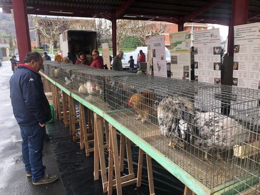 (Foto di Christian Bosio)