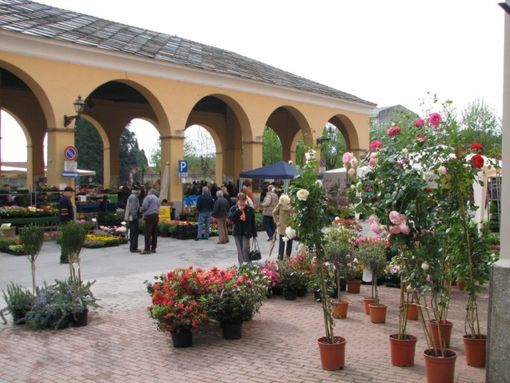 (Foto di repertorio)