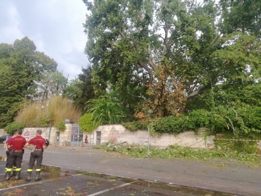 Nubifragio a Cavour: vigili del fuoco al lavoro [FOTO]