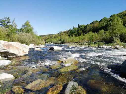 ‘Il Pellice soffre’: un incontro per ascoltare i primi dati di un monitoraggio sulla qualità dell’acqua ‘Il Pellice soffre’: un incontro per ascoltare i primi dati di un monitoraggio sulla qualità dell’acqua