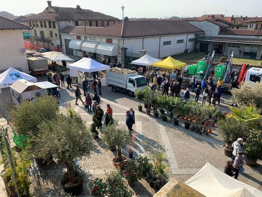 (Foto di repertorio)