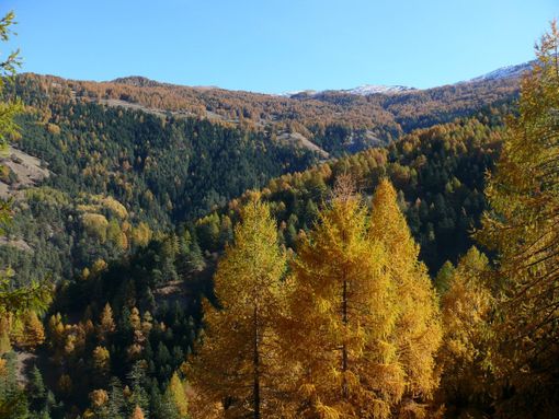 Parchi Alpi Cozie Parchi Alpi Cozie