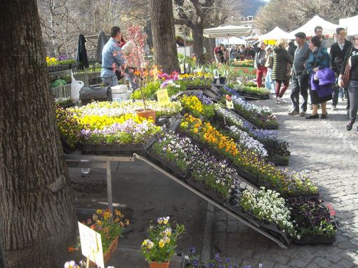 (Foto di repertorio)