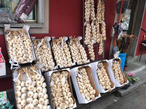 Tra Ringraziamento e aglio: Pinasca fa festa due giorni