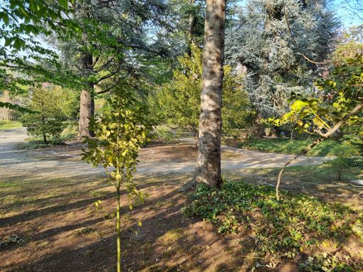 Il Parco di Villa Prever a Pinerolo Il Parco di Villa Prever a Pinerolo