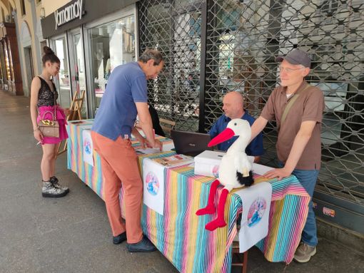 La raccolta firme per le cicogne (foto di Cinzia Consolati) La raccolta firme per le cicogne (foto di Cinzia Consolati)