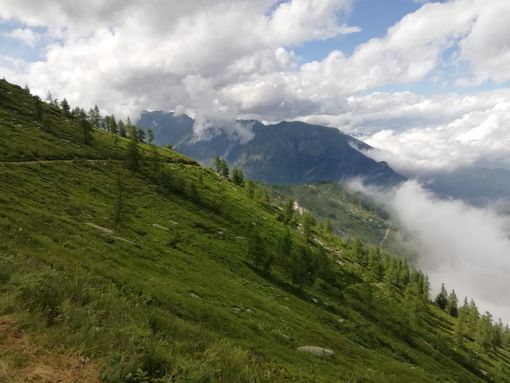 I disegni di Terracini e il racconto del figlio nato grazie al silenzio dei rorenghi I disegni di Terracini e il racconto del figlio nato grazie al silenzio dei rorenghi