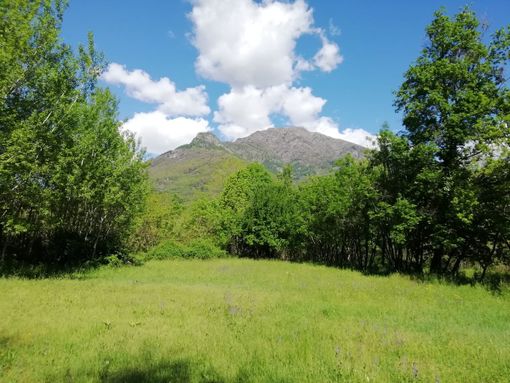 Uno scorcio della Val Pellice Uno scorcio della Val Pellice