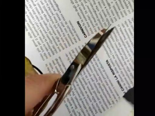 Coll-age 19 per superare l’isolamento, la proposta di Sonador di Torre Pellice Coll-age 19 per superare l’isolamento, la proposta di Sonador di Torre Pellice