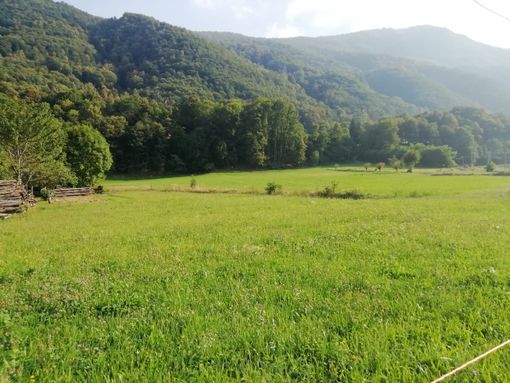 In Val Pellice una pista tutta nuova per mucche e ciclisti