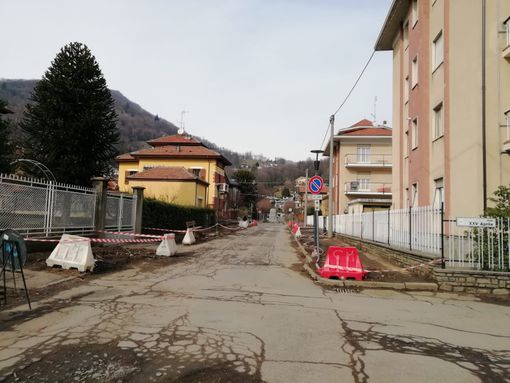 Viale della Rimembranza piante tagliate