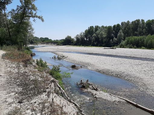 Volontari al lavoro sabato per raccogliere rifiuti al Pellice [VIDEO e FOTO]