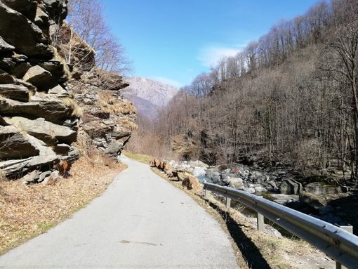 La strada della Comba Carbonieri La strada della Comba Carbonieri