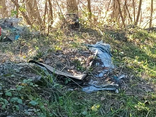 Rifiuti nei boschi