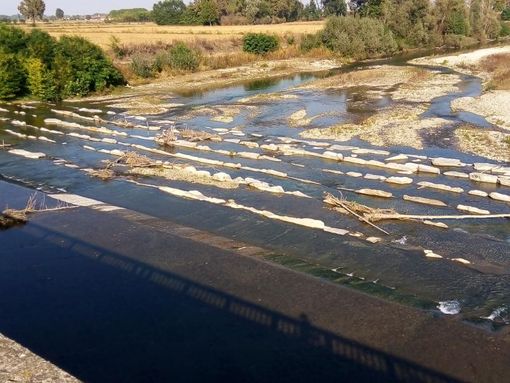La ‘scala di risalita’ con dei detriti boschivi impigliati