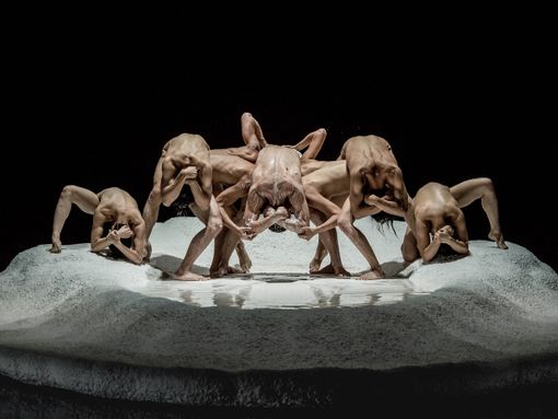 Torinodanza Festival torna il 9 settembre 2022 con la direzione di Anna Cremonini