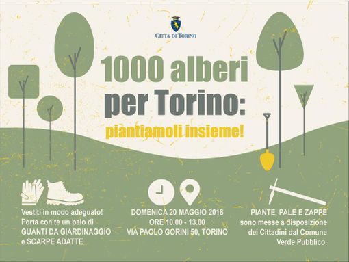 Torino si regala altri 600 alberi per rinforzare il proprio polmone verde Torino si regala altri 600 alberi per rinforzare il proprio polmone verde